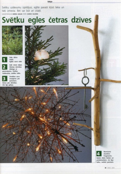 Styles for page&amp;nbsp;on the&amp;nbsp;theme - The Christmas Tree after the Christmas. Photo Gvido Kajons.